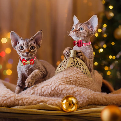 2 Pack Christmas Cat Collar with Bells Christmas Cat Bowtie with Christmas Tree and Santa Claus Pattern Xmas Breakaway Cat Collar Size Adjustable from 8"-12"